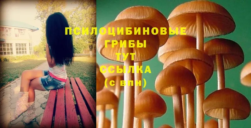 Галлюциногенные грибы Magic Shrooms  Покров 